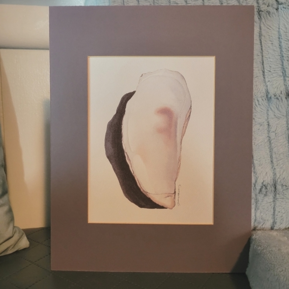 Oyster Shell, Seashell, Fine Art Print w/ Mat
